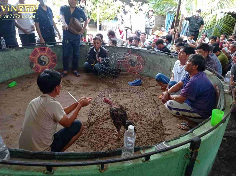 Tiêu chí đánh giá trường gà uy tín